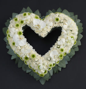 9_sorg_cymbidium_chrysantemum_hjerte