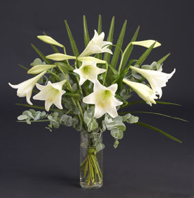 9_sorg_lilium_alter_bukett