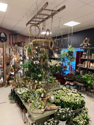 16416B66-0B23-472E-957F-9D3A740DDE94-4D663FEE-7E05-4941-A839-9C3C23311512